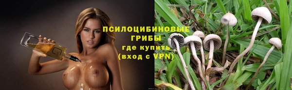 спиды Арсеньев