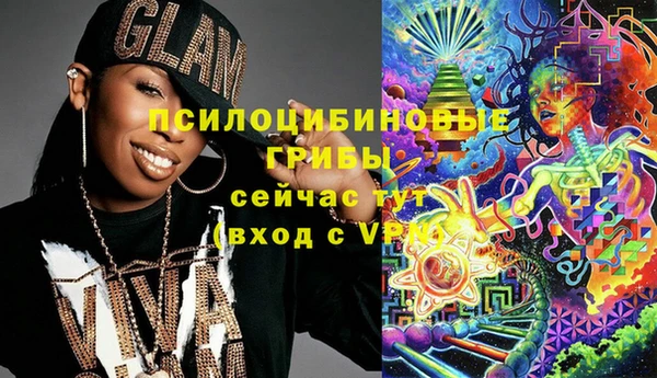 спиды Арсеньев