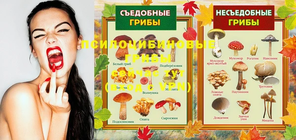 спиды Арсеньев