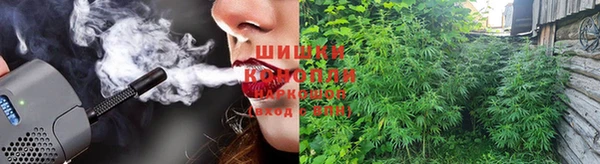 дурь Аркадак